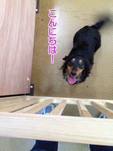 20131221 ソラ015