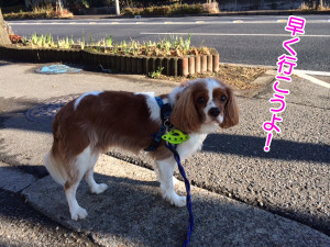 20131221 レオ008