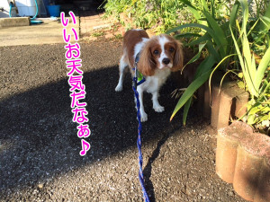 20131221 レオ009