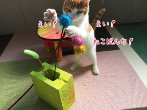 ねこぱんち！