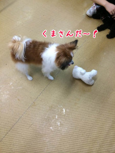 くまさん♪