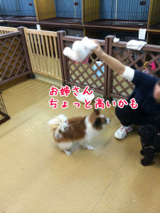 ちょっと高いかなぁ