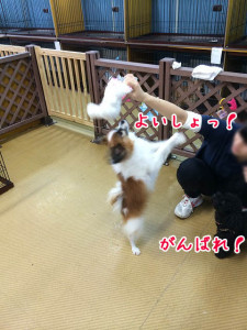 背伸びでギュン！