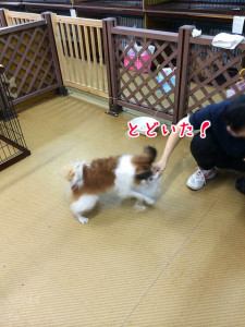 とどいたよ～