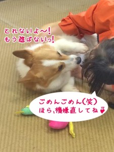 も～、とれないじゃん！