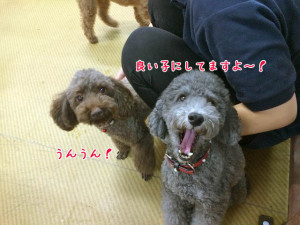 良い子にしてますよー