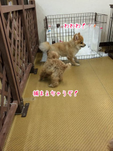もうちょっと！