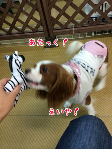 あたっく！