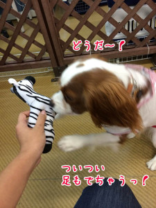 大興奮