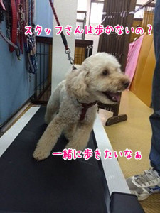 一緒に歩こうよ