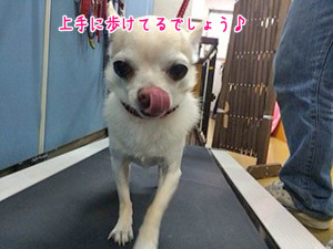 上手でしょ?
