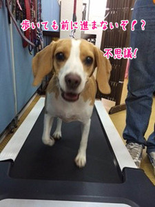 前に進まないぞ！？