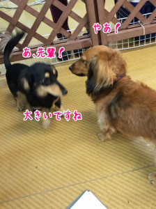 よろしくね
