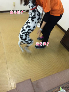 遊ぼうよ