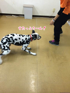 すたっふさ～ん！