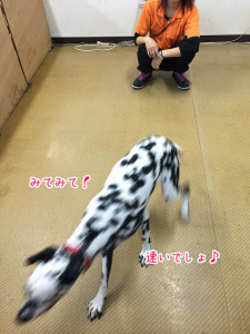 はやいでしょ～