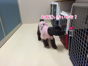 誰かはいってる？