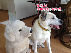 太陽が真っ赤だぜ