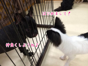 はじめましてだね！