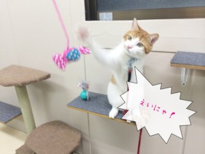 IMG_0755