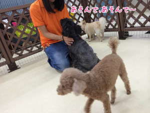 あそぼうよ！