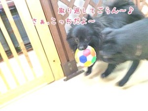 IMG_0779