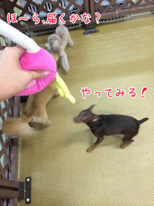 とどくかなー？