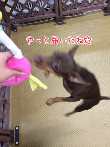 とどいたっ！