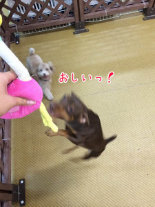 あとちょっと！