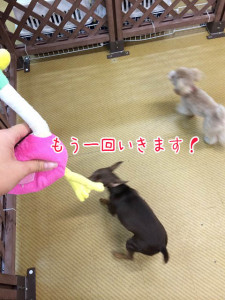 リトライジャンプ！