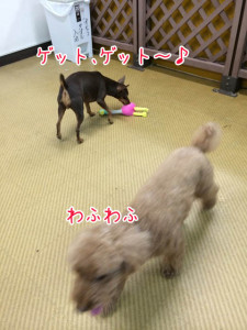 つかまえた！