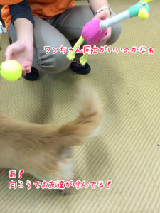 お友達が呼んでる！
