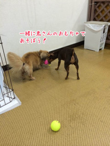 一緒にあそぼ！