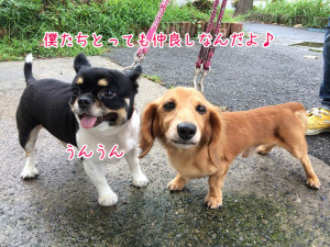 とっても仲良しですよ