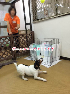 しっかり狙って