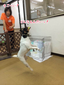 ナイスキャッチ！