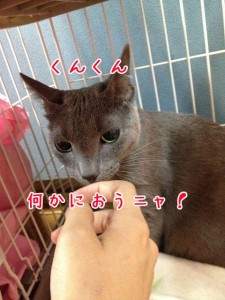 何のにおいかな？