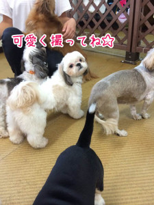 可愛く撮ってね