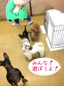 みんなあそぼー！