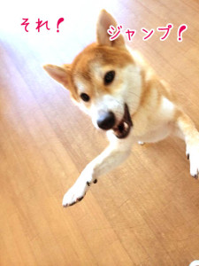 じゃんぷ！　