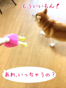 あきらめちゃうのー？