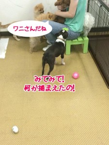 これ捕まえたの!