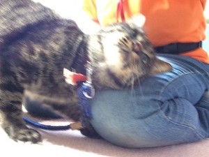 IMG_1897