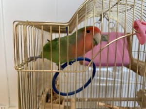 IMG_2612