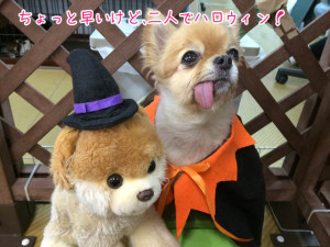 一足お先にハロウィン