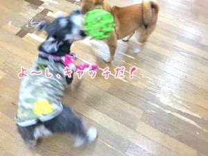 IMG_3451