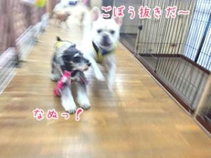 IMG_3574