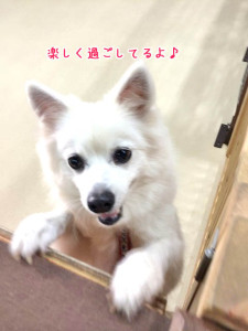 楽しく過ごしてまーす
