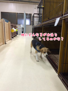 どんな子がいるのかな?