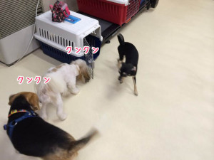 挨拶挨拶